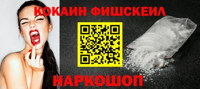 СК Бердск