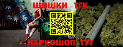 СК Бердск