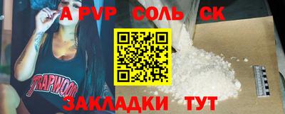 СК Бердск